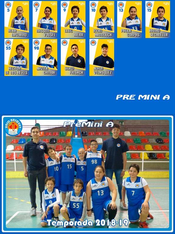 montaje equipos global 2019 PREMINI A tn