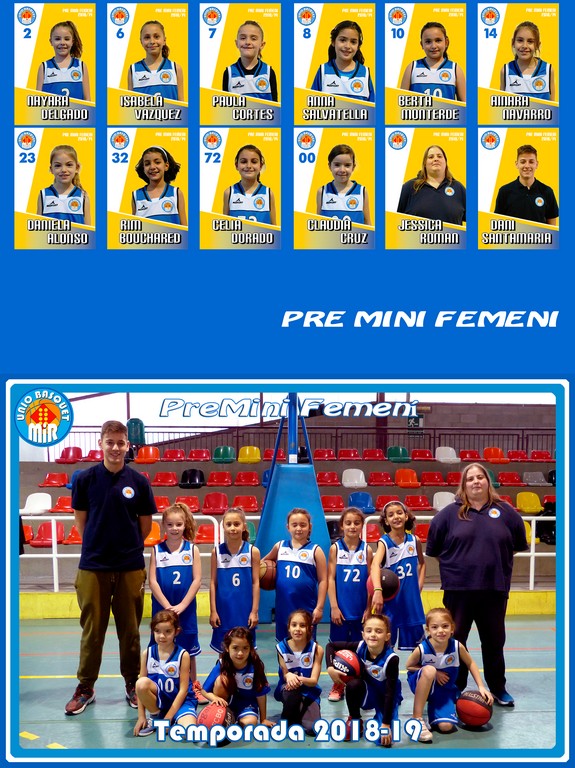 montaje equipos global 2019 PREMINI FEM tn